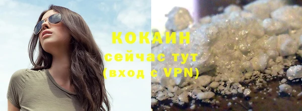 мдпв Осташков
