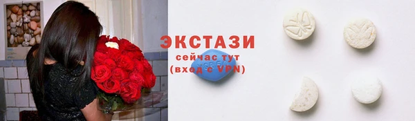 мдпв Осташков