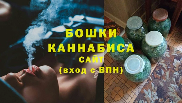 мдпв Осташков