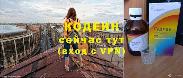 мдпв Осташков