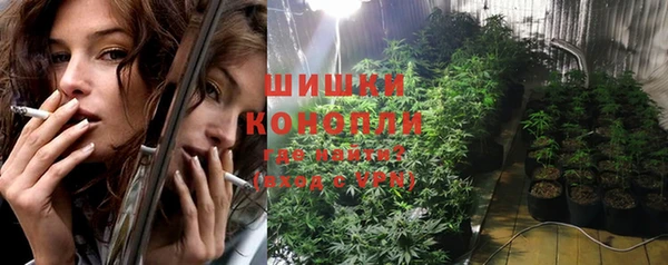 мдпв Осташков
