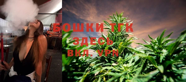 мдпв Осташков