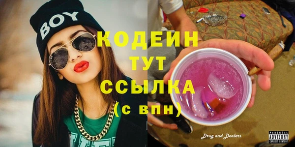 мдпв Осташков