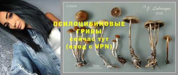мдпв Осташков